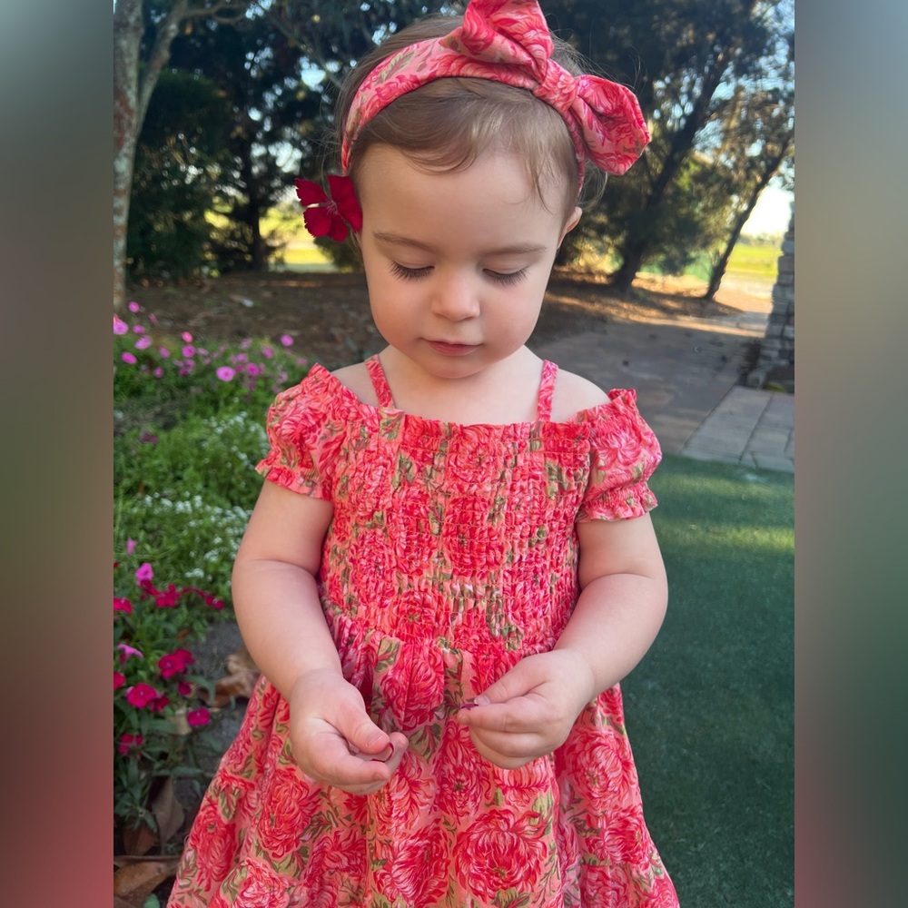 Toddler Haute Hippie 3T Dress